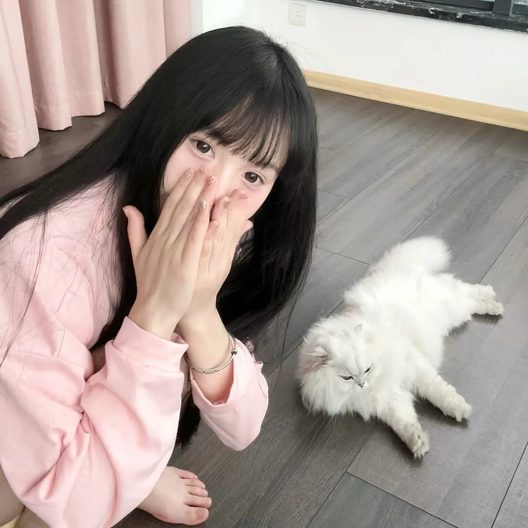铁幕疑云